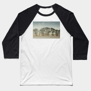 Winter Treeline Baseball T-Shirt